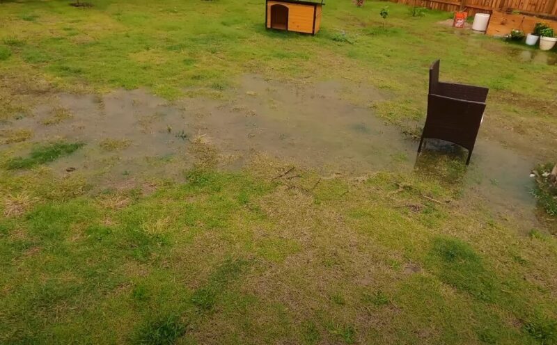 Standing water covers a large portion of the lawn